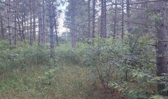 Lot 113 Beaver Lane, Arkdale, WI 54613
