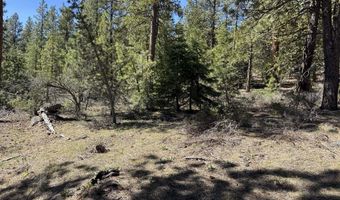 Horned Owl Way 385461, Bonanza, OR 97623