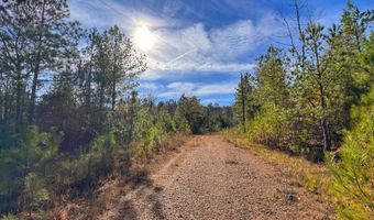 0 County Road 25, Reform, AL 35481