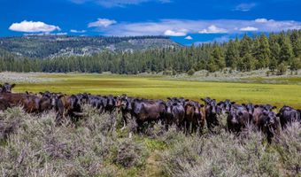 Fishhole Creek Road, Bly, OR 97622
