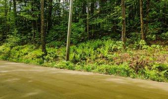 Camp Brook Road lot Map 30 Lot 67, Alstead, NH 03602