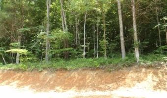 8 63ac Gravely Hill Rd, Bethpage, TN 37022