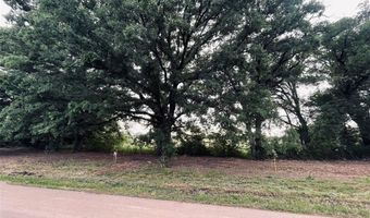Lot 6 COUNTY ROAD 1560, Alba, TX 75410
