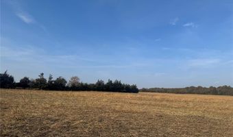 000 FM 44, Annona, TX 75550