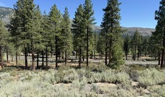 3265 Summit Camp Way C24/310, Carson City, NV 89705