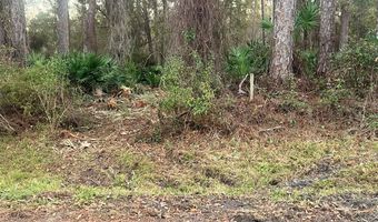 34 Gibson Rd, Apalachicola, FL 32320