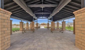 1151 E PEACH TREE Dr, Chandler, AZ 85249