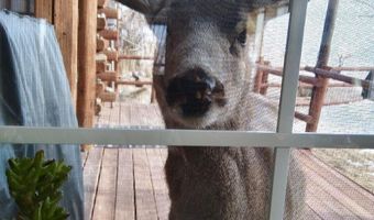 31 CUTOFF Rd, Daniel, WY 83115