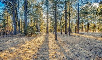 66 Mora Ranch Rd, Angel Fire, NM 87710