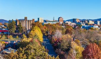 273 S French Broad Avenue Unit 3 & 4 3&4, Asheville, NC 28801