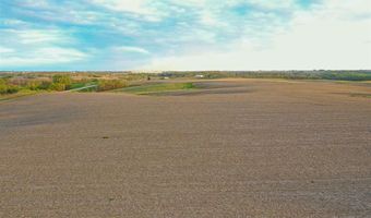 Vine Avenue, Ainsworth, IA 52201