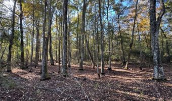 TBD Binnicker Bridge Road, Bamberg, SC 29003