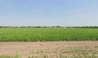 0 Nolana Loop, Alamo, TX 78516