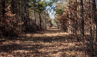 3968 Highway 167, Ash Flat, AR 72513
