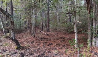 Lower Bay Road, Bay St. Louis, MS 39520