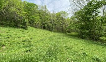 550 S Kendall Rd, Worthville, KY 41098