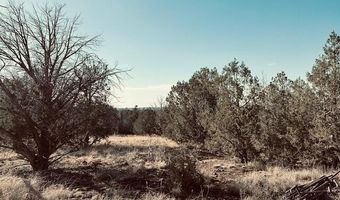 00 Terry Ln, Ash Fork, AZ 86046