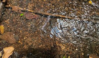 6150 SHOAL CREEK Rd 124+/- Acres, Ashville, AL 35953