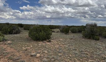 8 County Road 8080, Concho, AZ 85924