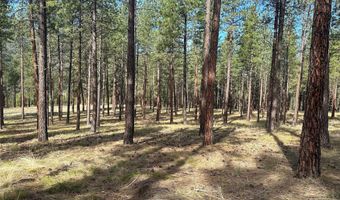31760 HWY 10 W, Alberton, MT 59820