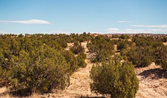 El Rito Estates, Abiquiu, NM 87510