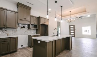 2004 Alisson St, Alton, TX 78573