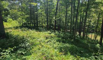 Lot 25 Legendary Parkway, Arley, AL 35541