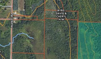 Off Walker Road 20 Acres, Afton, MI 49705