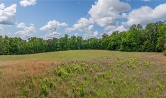 350 Hershell Henry Rd, Bankston, AL 35542