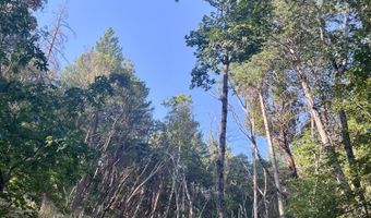 Timberlake Drive 391E25 132, Ashland, OR 97520