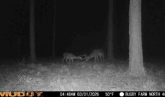 U.S. Highway 51, Bogue Chitto, MS 39629