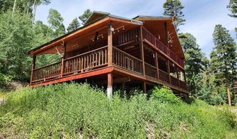 1407 Clarke Mountain Ln, Antonito, CO 81120
