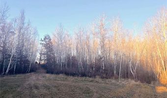 1287 Trinity Pines Ln NW, Backus, MN 56435