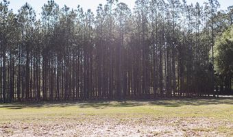 NW 41st Cir, Bell, FL 32619