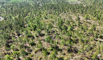 NW Miller Road, Altha, FL 32421