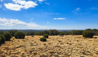 Show Low Pines Unit 3 lot 468, Concho, AZ 85924