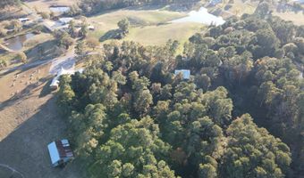 456 County Road 29, Bay Springs, MS 39422