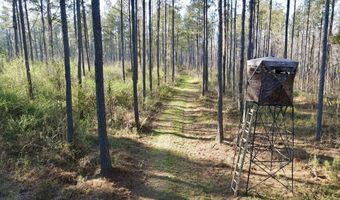 Highway 28, Abbeville, SC 29620