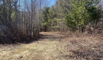 L21.1 Alder Pond Road, Andes, NY 13740