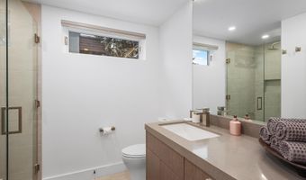 1001 E Cooper Ave 1, Aspen, CO 81611