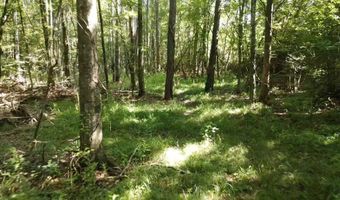 Tbd Bahalia Rd, Brookhaven, MS 39601