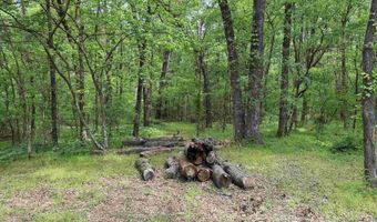 Tract 1 E Bay Road, Atkins, AR 72823