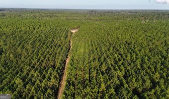 TRACTS 10 AND 1 Penny Morris Road, Baxley, GA 31513