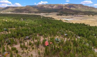 9 Co Rd 2074 # 2074, Alpine, AZ 85920