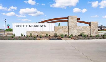 753 Waterhouse Lake Dr, Anna, TX 75409