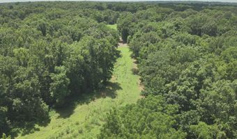 Hwy 1591, Bardwell, KY 42023