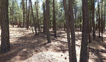8 B County Road 2267 Escudilla Rd, Alpine, AZ 85920