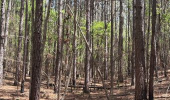 274 CR 3301, Booneville, MS 38829