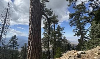 636 Mountain Center 35-0002, Mountain Center, CA 92561