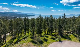 87 Rock Ridge Way, Bigfork, MT 59911